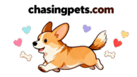 chasingpets.com